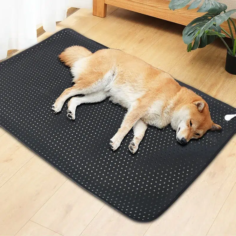 Grounding Earthing Mat For Pet Bed | Child Bed
